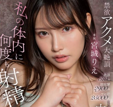 HMN-563 私の体内に何度も射精して…絶頂310回膣痙攣2900回マン汁25000cc1カ月禁欲した後の丸一日中出しFUCK 宮城りえ