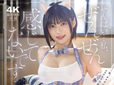 MIAB-583 「せんぱい…私、ぜんぜん感じてないです…」 いつでも即ハメOKの肉オナホ契约した后辈に何度も中出す孕ませレンタル同栖 虹村ゆみ