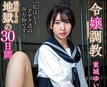 APNS-338 令嬢调教 懐妊までの地狱の30日间 东城ゆい