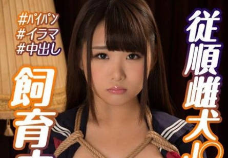 骑兵破解OREX-200 くるみ 2（俺の素人 – OREX-200）