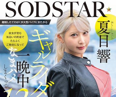 START-531离异的中年男人失意旅行时偶遇性格火辣的机车女郎我们一见钟情开启了一段美丽的邂逅那天我内射了她12次夏目响