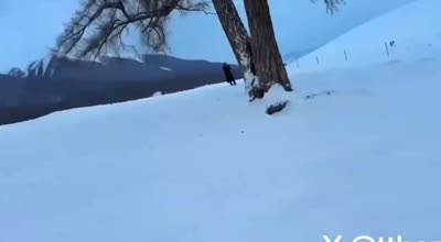 新疆雪夜爆操一夜-小t很温柔