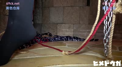 FC2PPV-963343纯新人22岁雪子18岁的合法萝莉被强行带入SM酒店一脱衣服就露出惊人的好身材让人兴奋不已直接射在里面