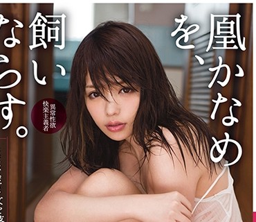 ABP-644 凰かなめを、飼いならす。 4