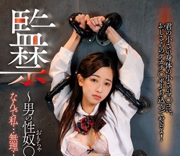 DDHH-012 監禁～男の性奴○になった私～ 市川花音