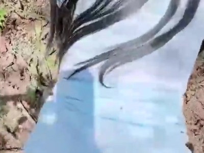 51吃瓜网.山野间小姨子黑丝诱惑穿好利来服装被姐夫站立操翻