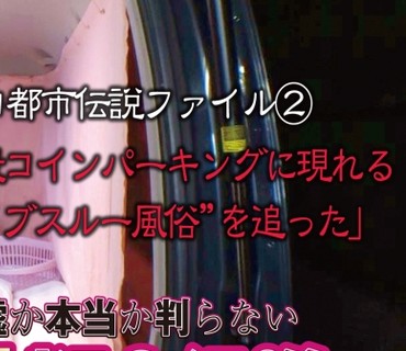 NTK-204 神出鬼没！！Gカップ嬢を乗せたエロワゴン！深夜にまで及んだ調査！怪しい男との交渉！苦難を乗り越え風俗仕様に改造された後部座席にGカ