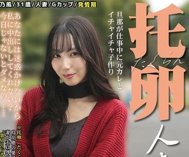 骑兵破解MIST-500 托卵人妻 ～旦那より先に元カレの子供を妊娠したい～ 藤川乃风